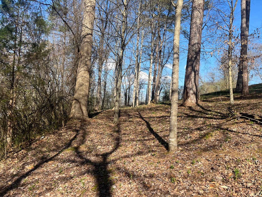 Lot 11 Bent Grass Circle #11, HAYESVILLE, North Carolina image 12