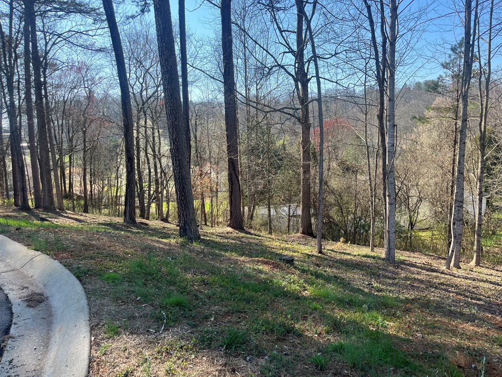 Lot 11 Bent Grass Circle #11, HAYESVILLE, North Carolina image 7