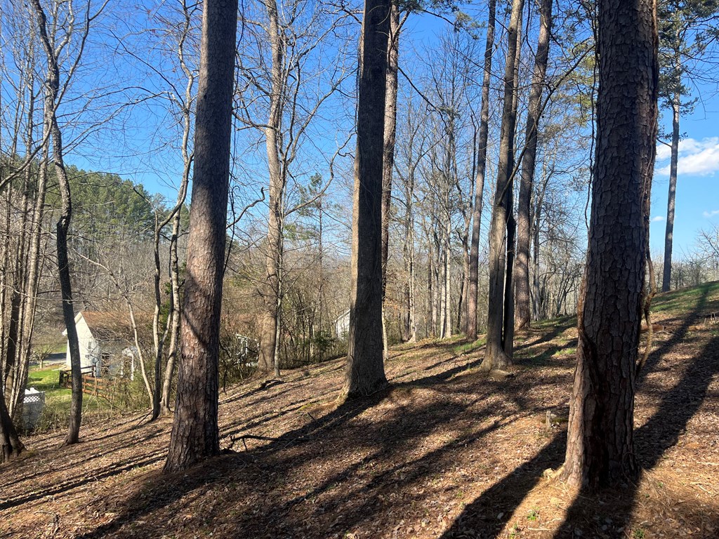 Lot 11 Bent Grass Circle #11, HAYESVILLE, North Carolina image 13