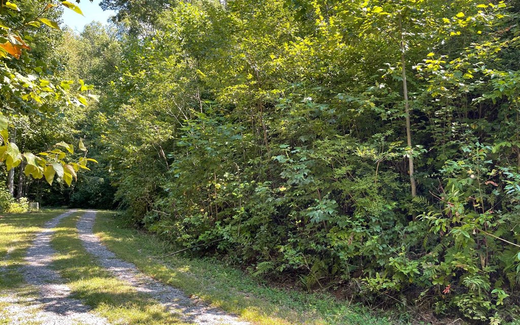 Lot 14 Mountain Harbour #14, HAYESVILLE, North Carolina image 14