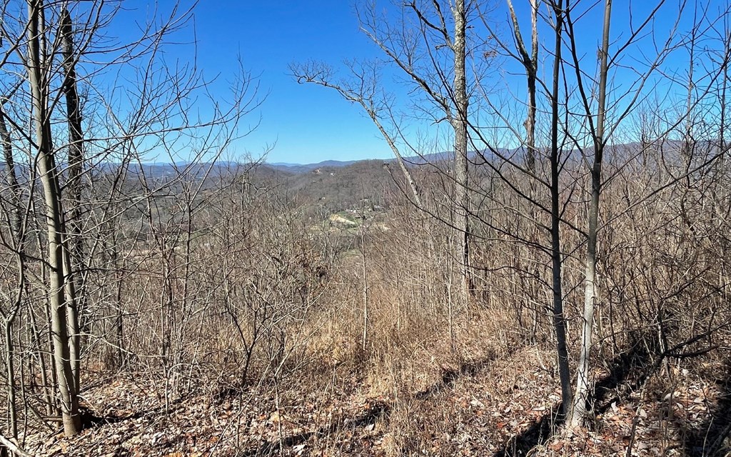 Lot 14 Mountain Harbour #14, HAYESVILLE, North Carolina image 48