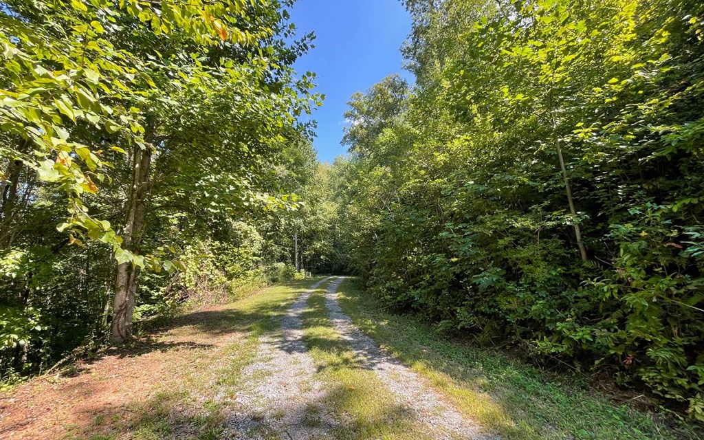 Lot 14 Mountain Harbour #14, HAYESVILLE, North Carolina image 30