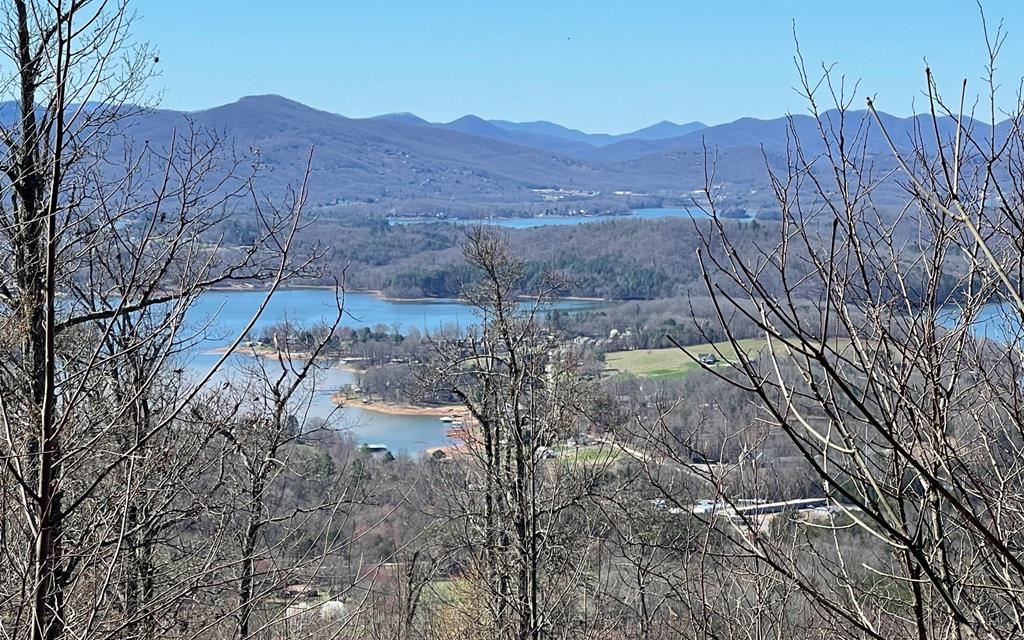 Lot 14 Mountain Harbour #14, HAYESVILLE, North Carolina image 1