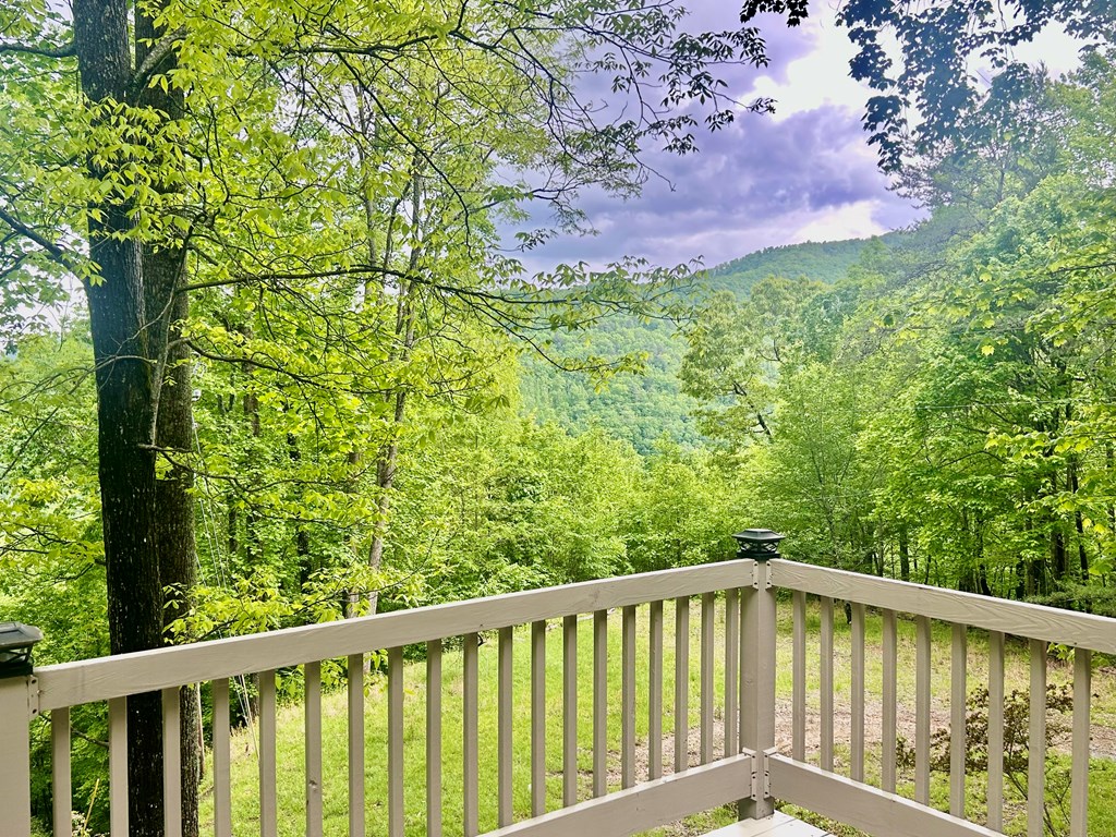 1041 Fox Run Road, BRYSON CITY, North Carolina image 14
