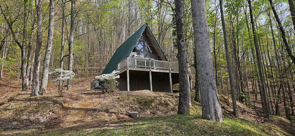 1041 Fox Run Road, BRYSON CITY, North Carolina image 17