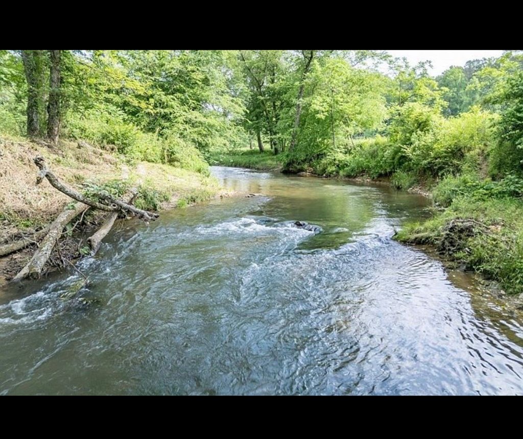 6389 Old Highway 64, WARNE, North Carolina image 3