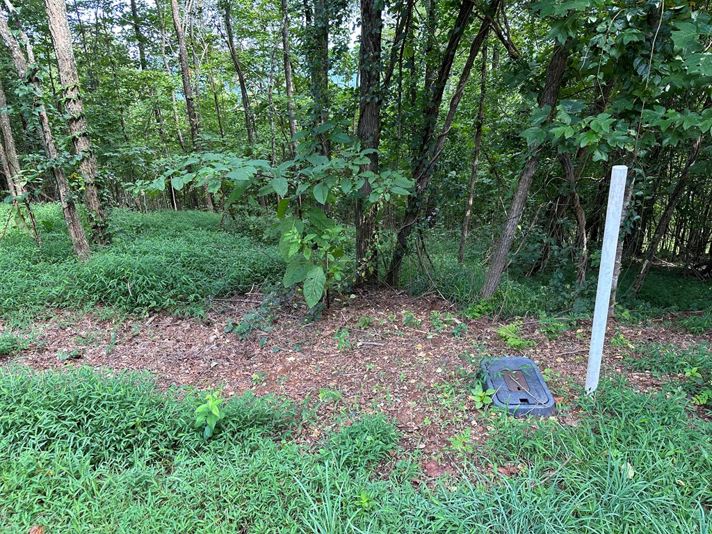 Lot 46 Deerwood Mountain Estates #46, MURPHY, North Carolina image 4