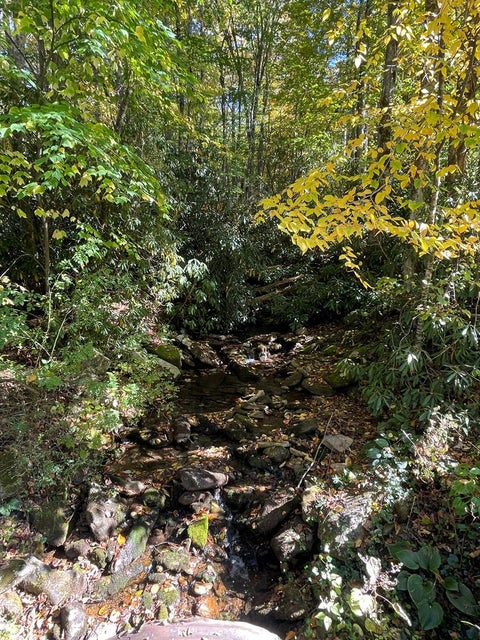 Vacant Land For Sale - 00 East Mill Creek<br/> Graham County, ROBBINSVILLE, NC 28771