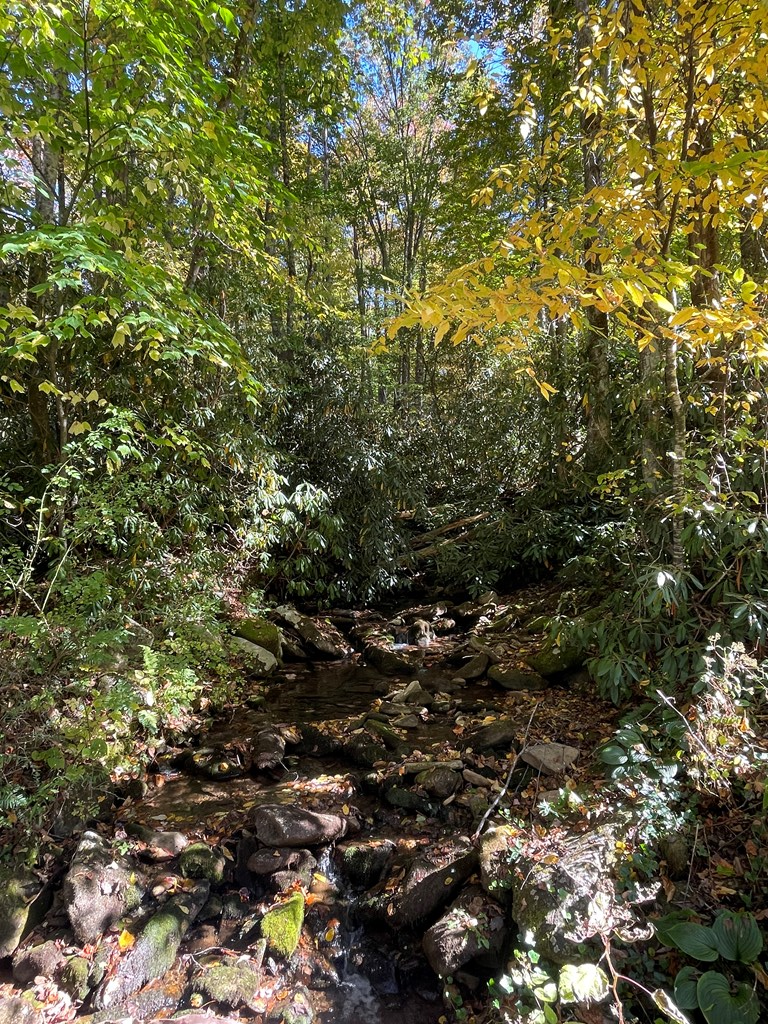 00 East Mill Creek, ROBBINSVILLE, North Carolina image 7