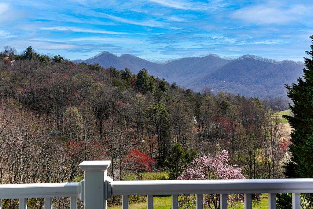 255 Ash Branch Circle, HAYESVILLE, North Carolina image 24