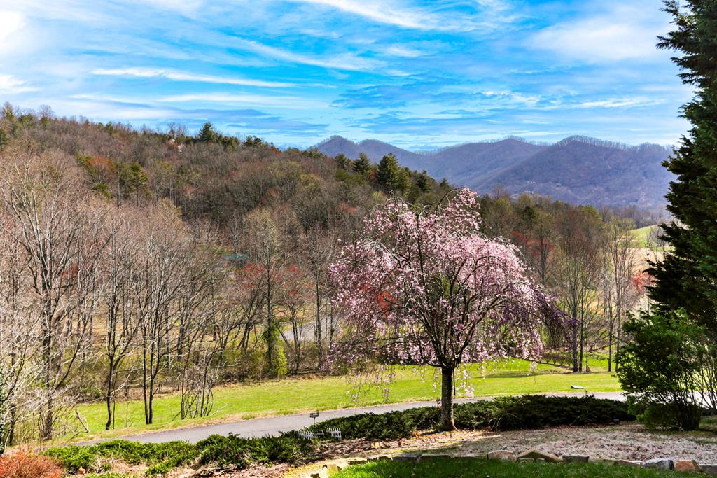 255 Ash Branch Circle, HAYESVILLE, North Carolina image 46