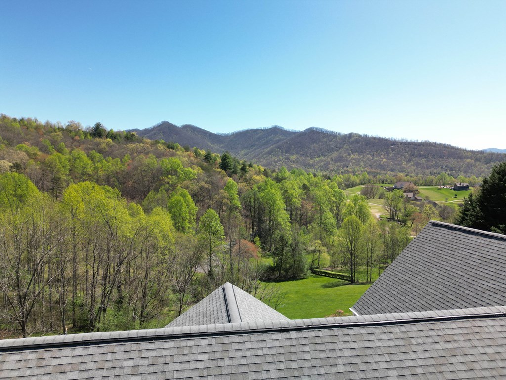 255 Ash Branch Circle, HAYESVILLE, North Carolina image 5