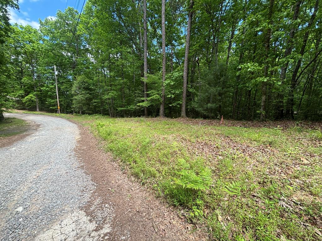Photo 1 of 9 — Lot 1B Forest Lane Unit 1B, MURPHY, NC 28906
