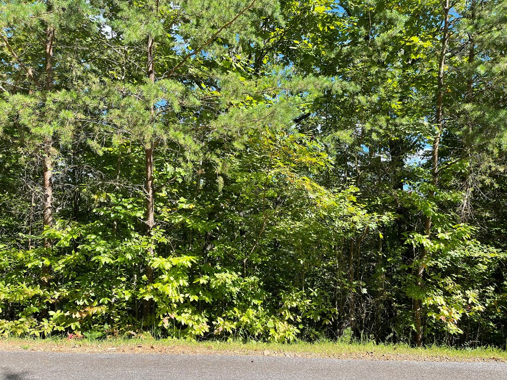 Lot 29C Indian Trail #29C, HAYESVILLE, North Carolina image 11