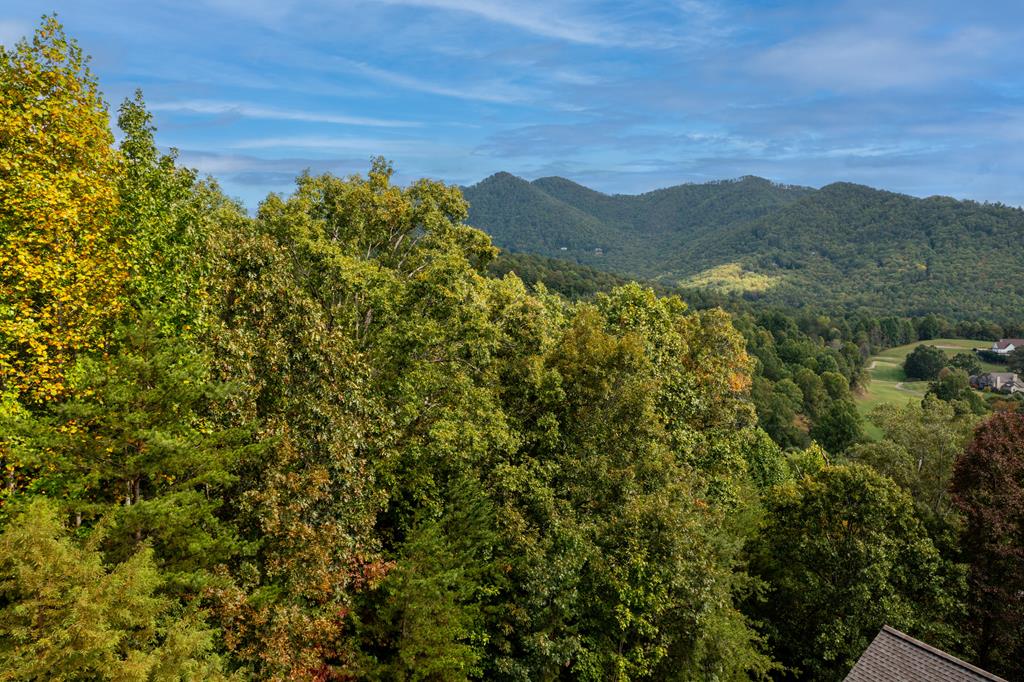 Lot 29C Indian Trail #29C, HAYESVILLE, North Carolina image 14