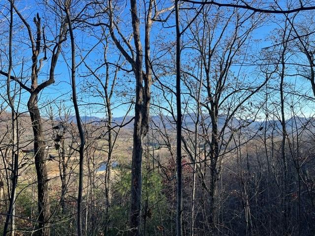 Lot 29C Indian Trail #29C, HAYESVILLE, North Carolina image 2