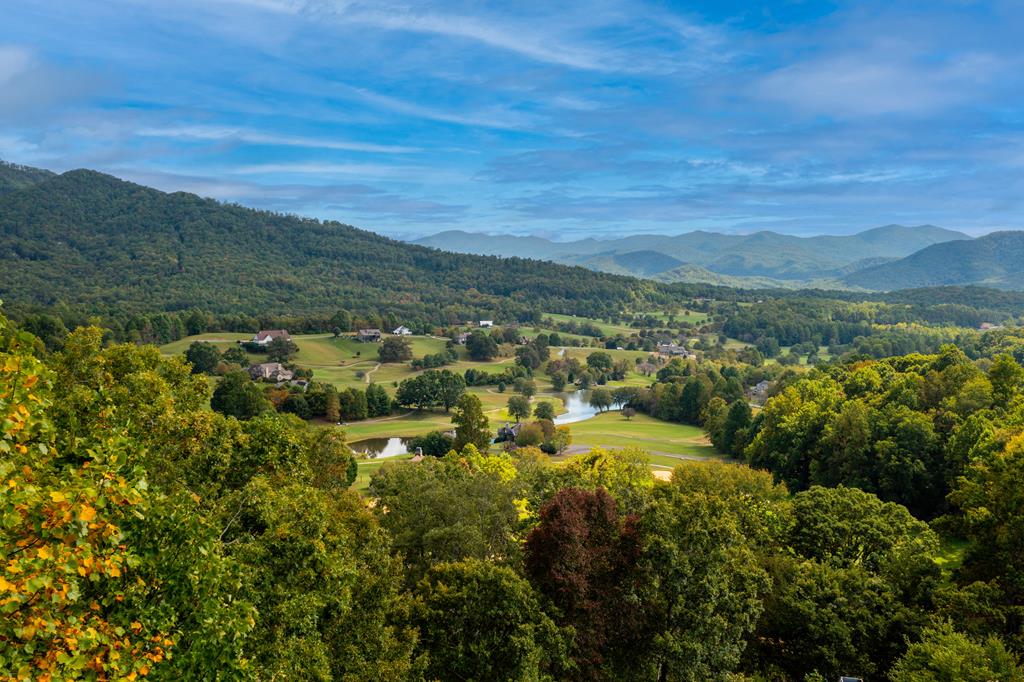 Lot 29C Indian Trail #29C, HAYESVILLE, North Carolina image 5