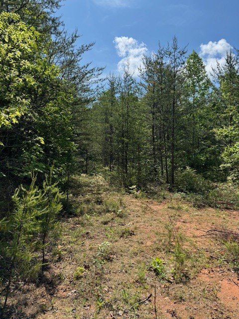 Lot 11 Paradise Mountain #11, MARBLE, North Carolina image 5