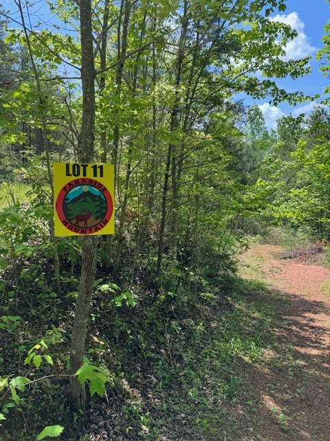 Lot 11 Paradise Mountain #11, MARBLE, North Carolina image 6