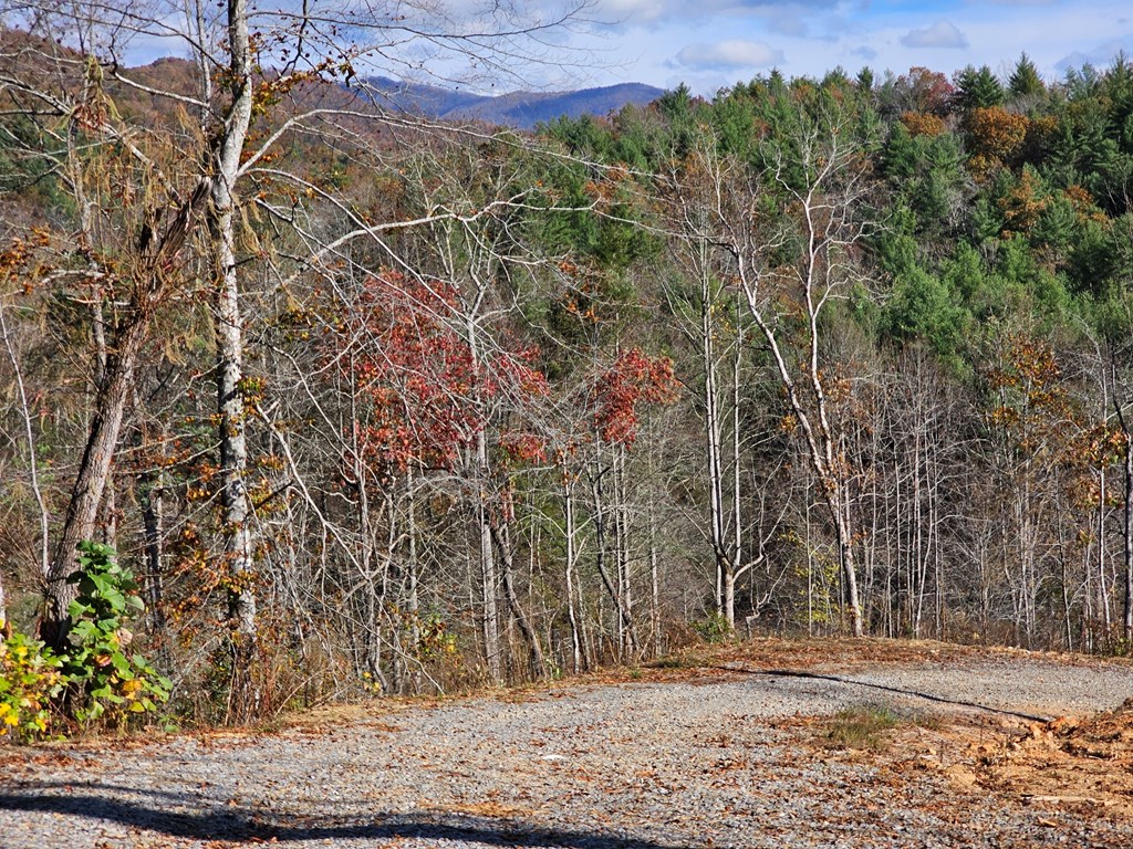 25 Odell Loop #1  2, MURPHY, North Carolina image 9