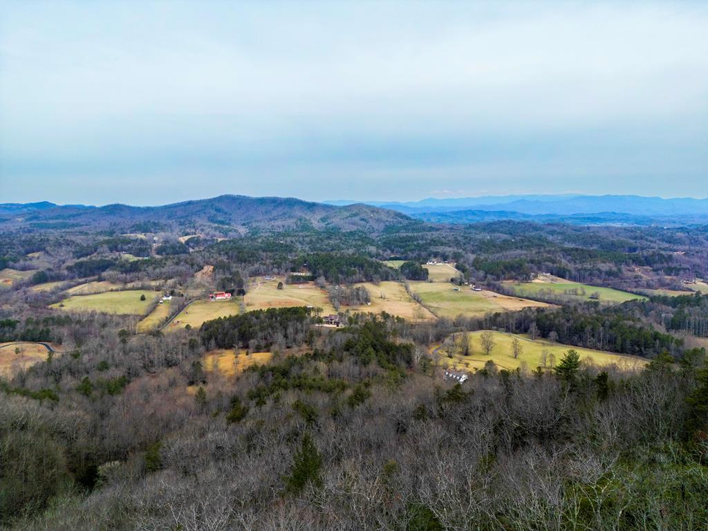 Lot 5 Mason Way #5, BRASSTOWN, North Carolina image 4