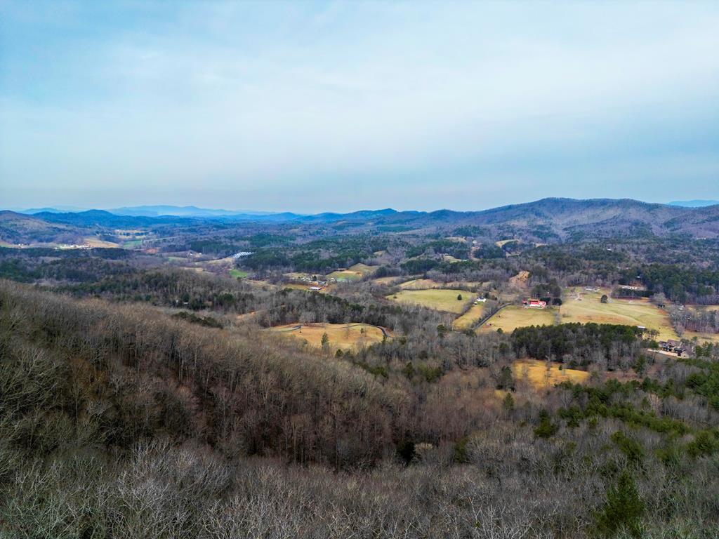 Lot 5 Mason Way #5, BRASSTOWN, North Carolina image 5