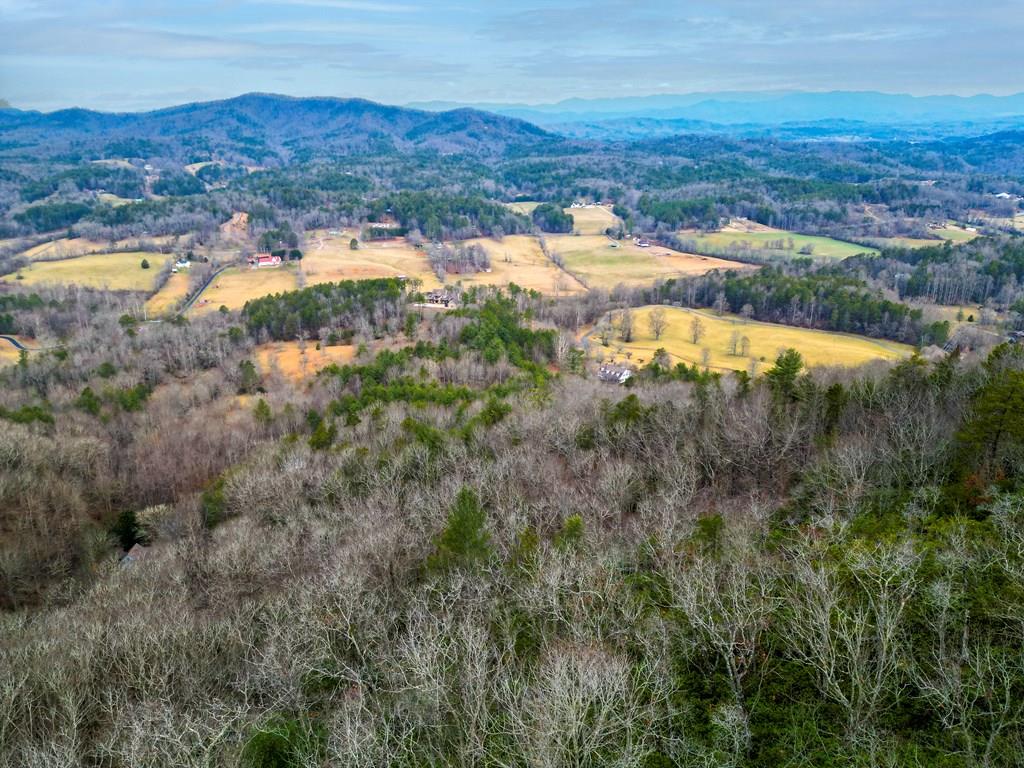 Lot 5 Mason Way #5, BRASSTOWN, North Carolina image 1