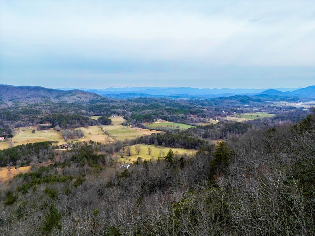 Lot 5 Mason Way #5, BRASSTOWN, North Carolina image 6