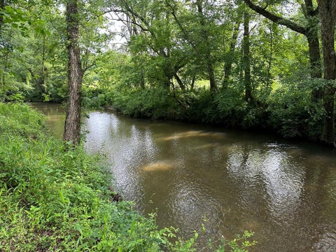 Vacant Land For Sale - LOT 50 Brasstown Trails #50<br/> WARNE, NC 28909