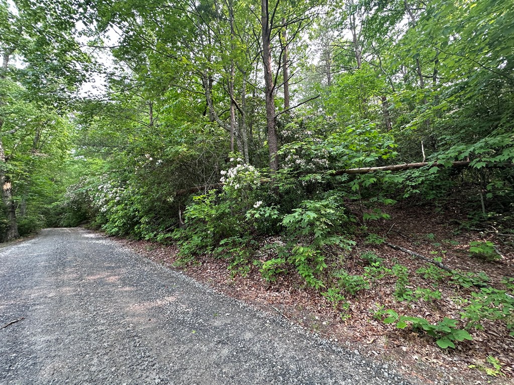 90 Pounding Mill Knob, HAYESVILLE, North Carolina image 28