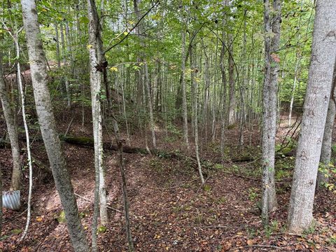 Vacant Land For Sale - Reserve Estates #10<br/> MURPHY, NC 28906