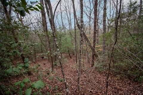 Vacant Land For Sale - LOT 6 Posey Place #LOT 6<br/> MURPHY, NC 28906