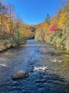 1533 Tate Cove Road, HAYESVILLE, North Carolina image 3