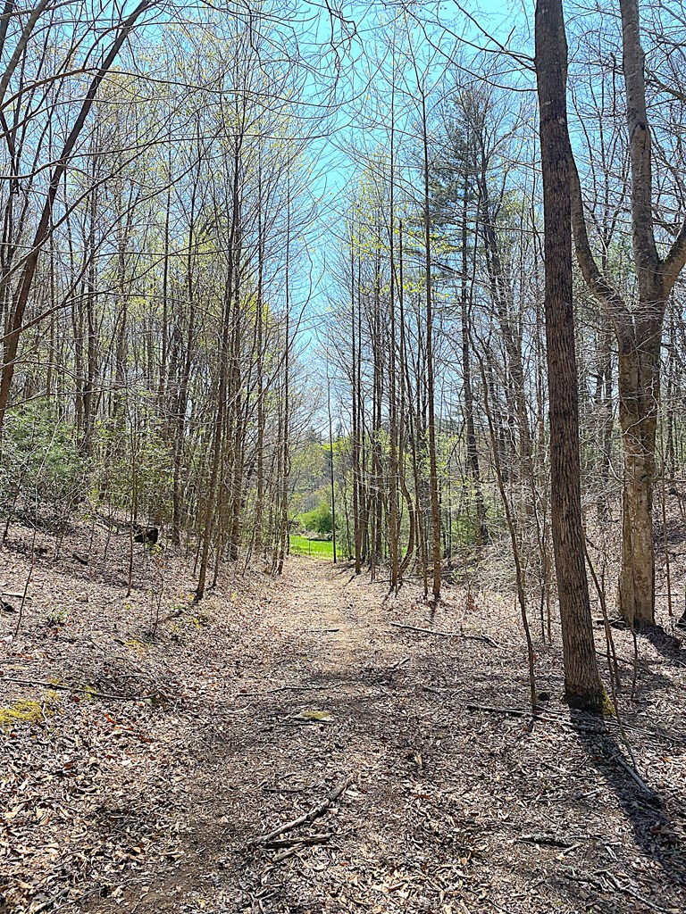 208 Odell Loop, MURPHY, North Carolina image 15