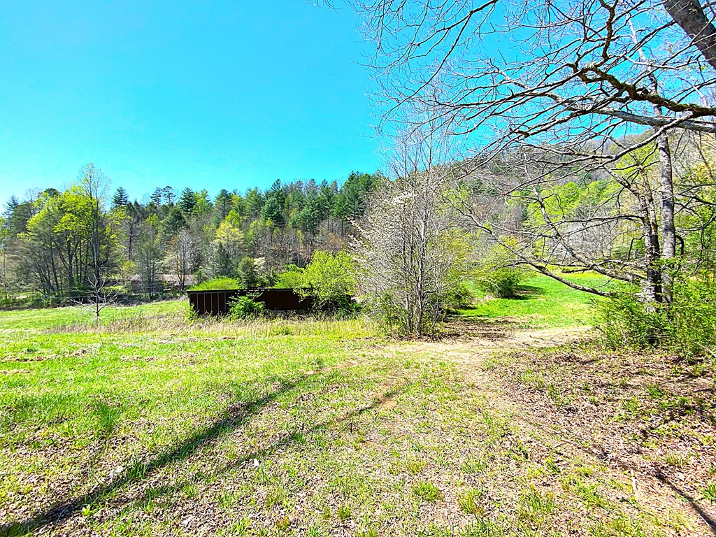 208 Odell Loop, MURPHY, North Carolina image 20