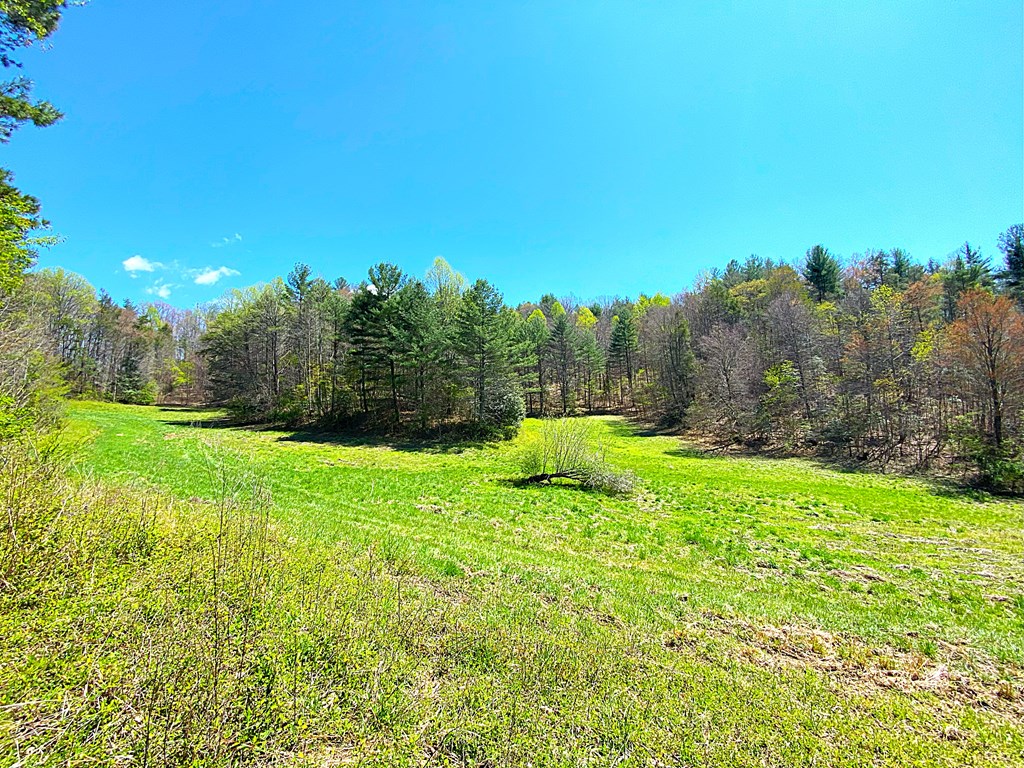 208 Odell Loop, MURPHY, North Carolina image 17
