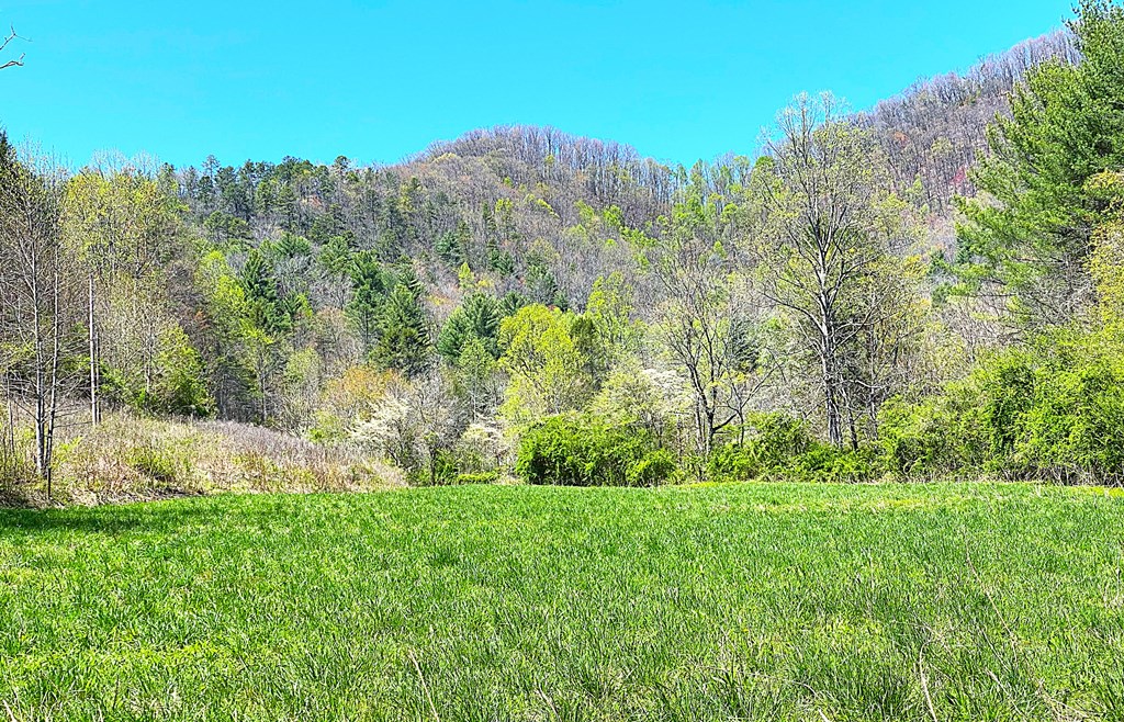 208 Odell Loop, MURPHY, North Carolina image 11