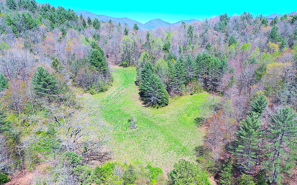 208 Odell Loop, MURPHY, North Carolina image 3