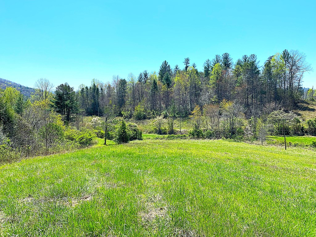 208 Odell Loop, MURPHY, North Carolina image 22