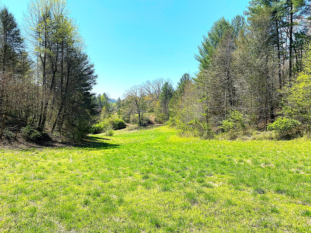 208 Odell Loop, MURPHY, North Carolina image 10