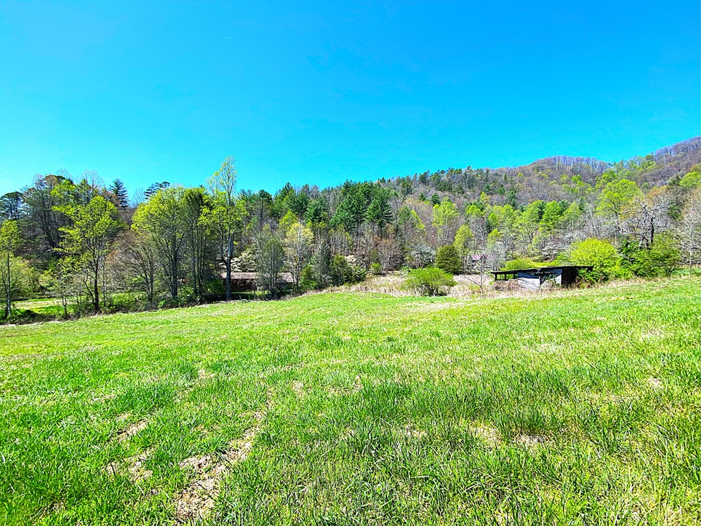 208 Odell Loop, MURPHY, North Carolina image 2