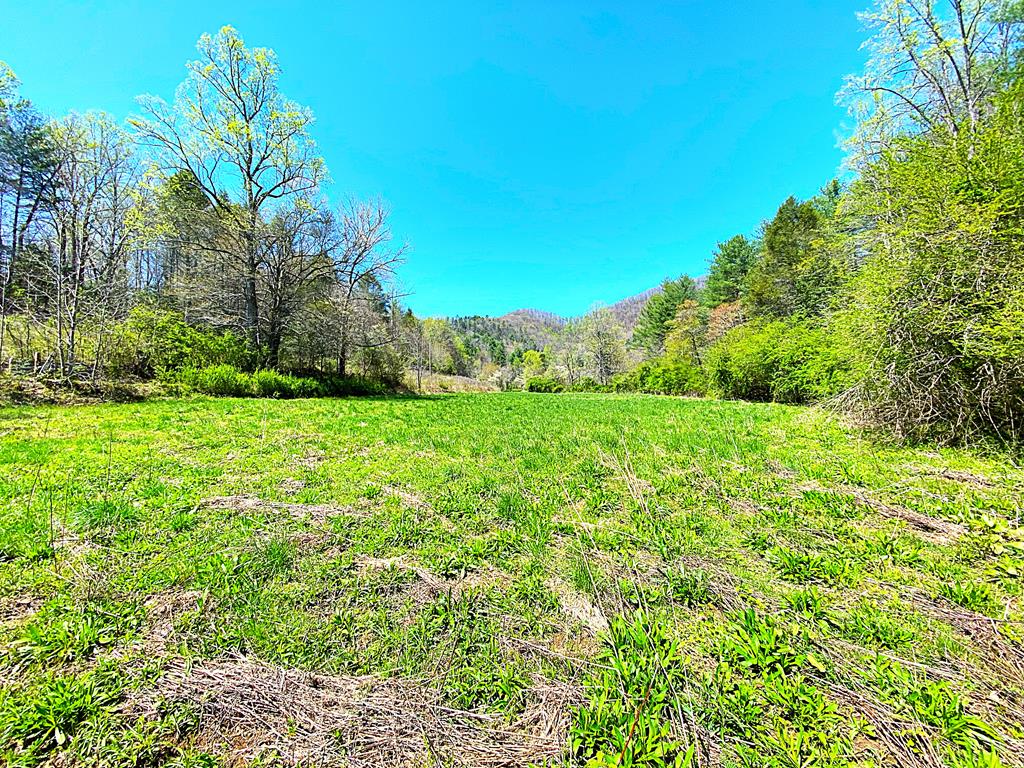 208 Odell Loop, MURPHY, North Carolina image 1