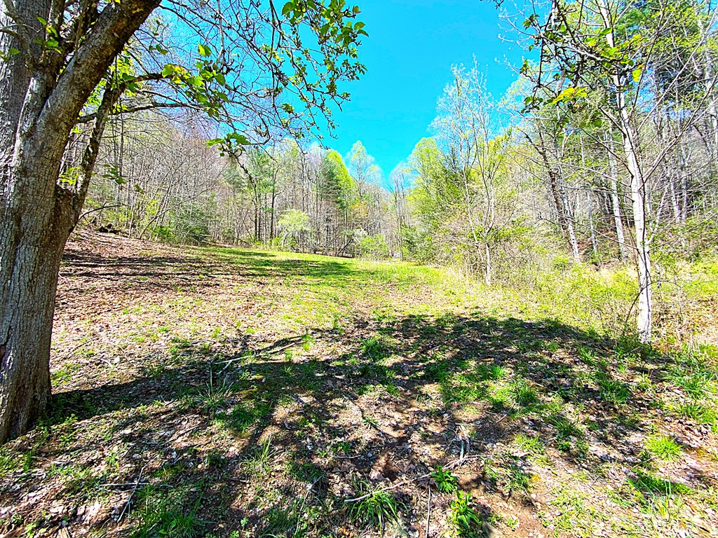 208 Odell Loop, MURPHY, North Carolina image 29