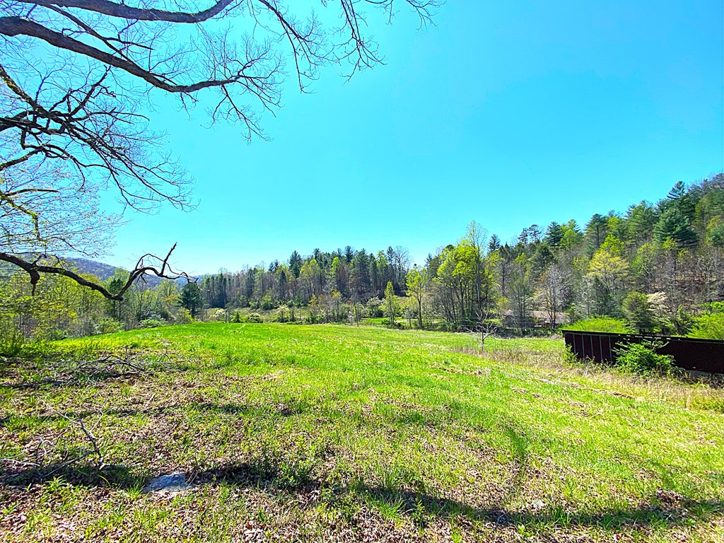 208 Odell Loop, MURPHY, North Carolina image 45