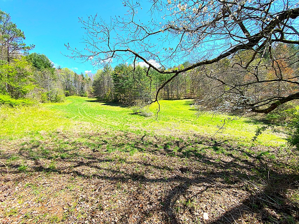 208 Odell Loop, MURPHY, North Carolina image 18
