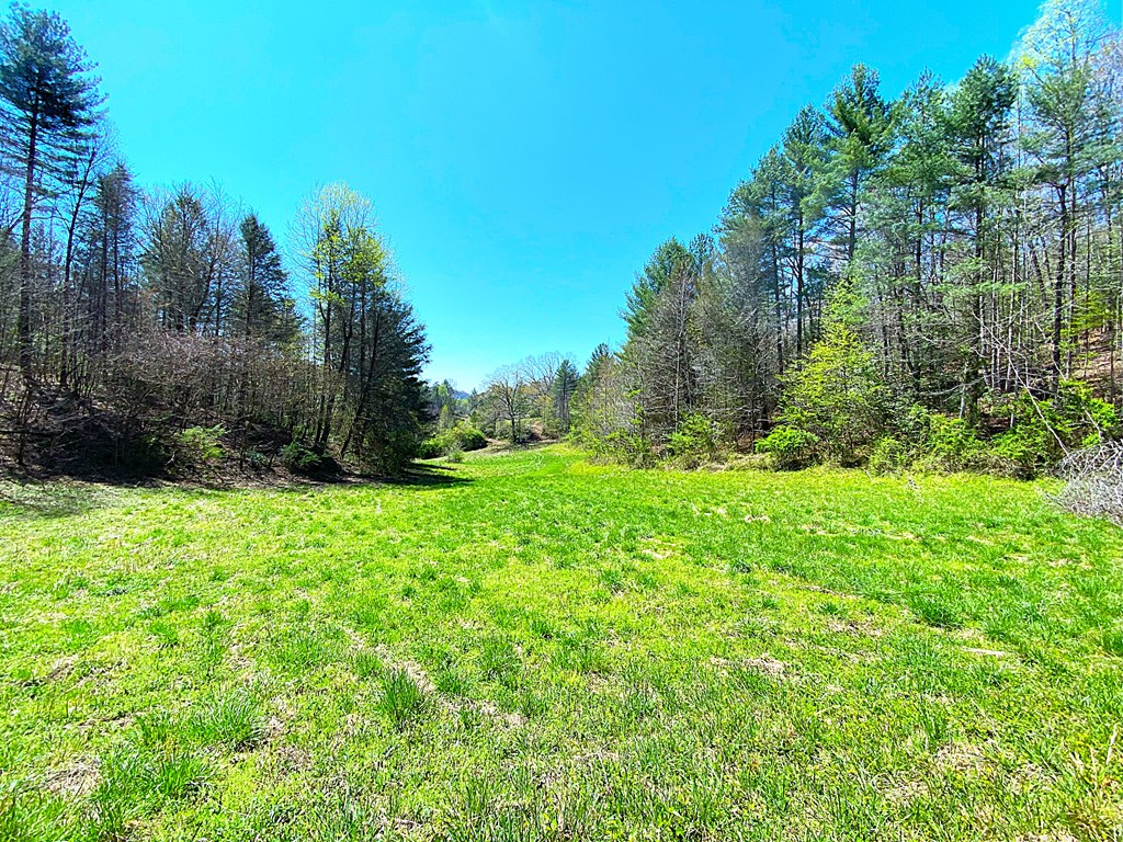 208 Odell Loop, MURPHY, North Carolina image 16