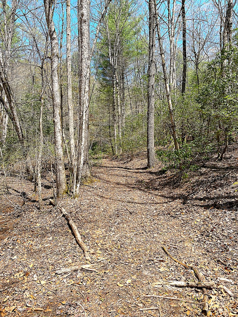 208 Odell Loop, MURPHY, North Carolina image 19