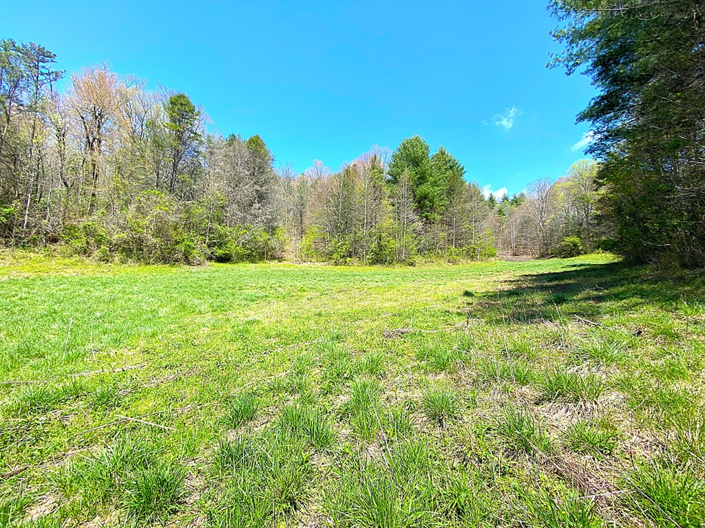 208 Odell Loop, MURPHY, North Carolina image 6