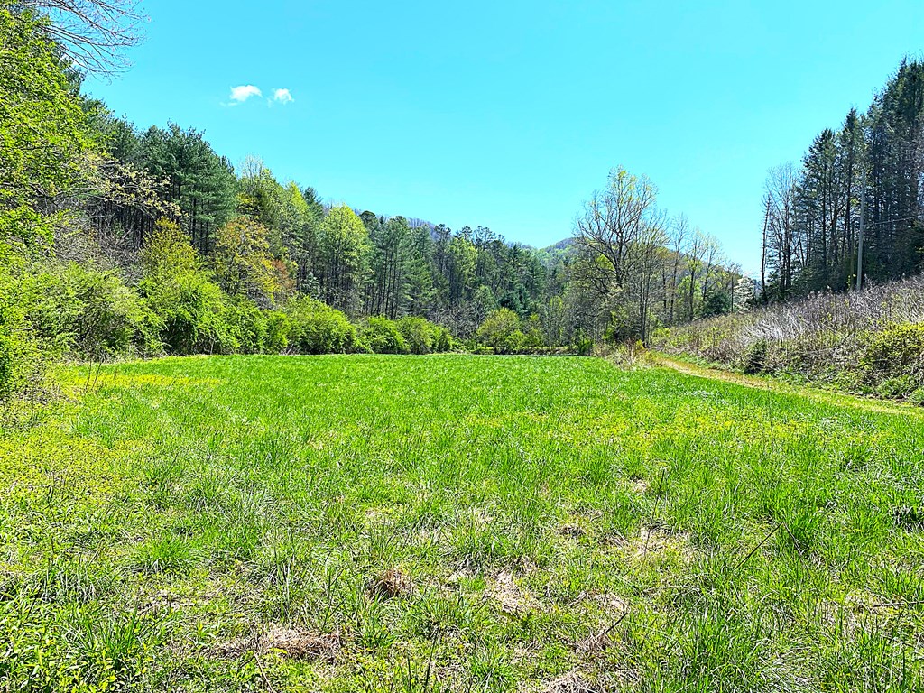 208 Odell Loop, MURPHY, North Carolina image 37