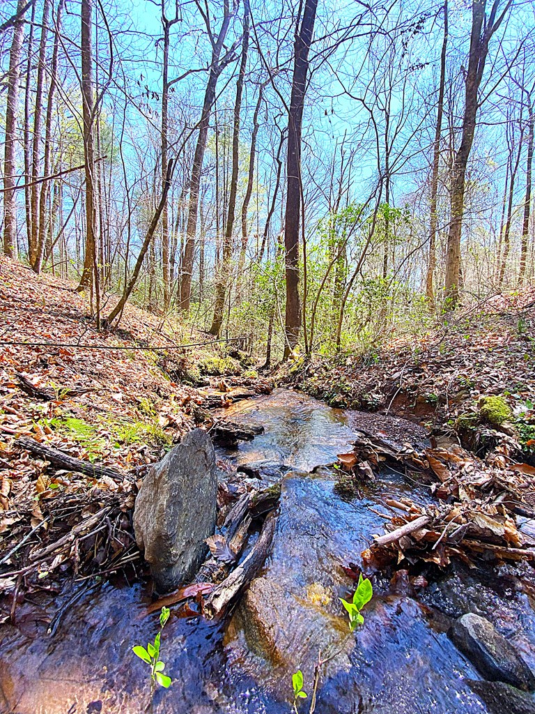 208 Odell Loop, MURPHY, North Carolina image 5